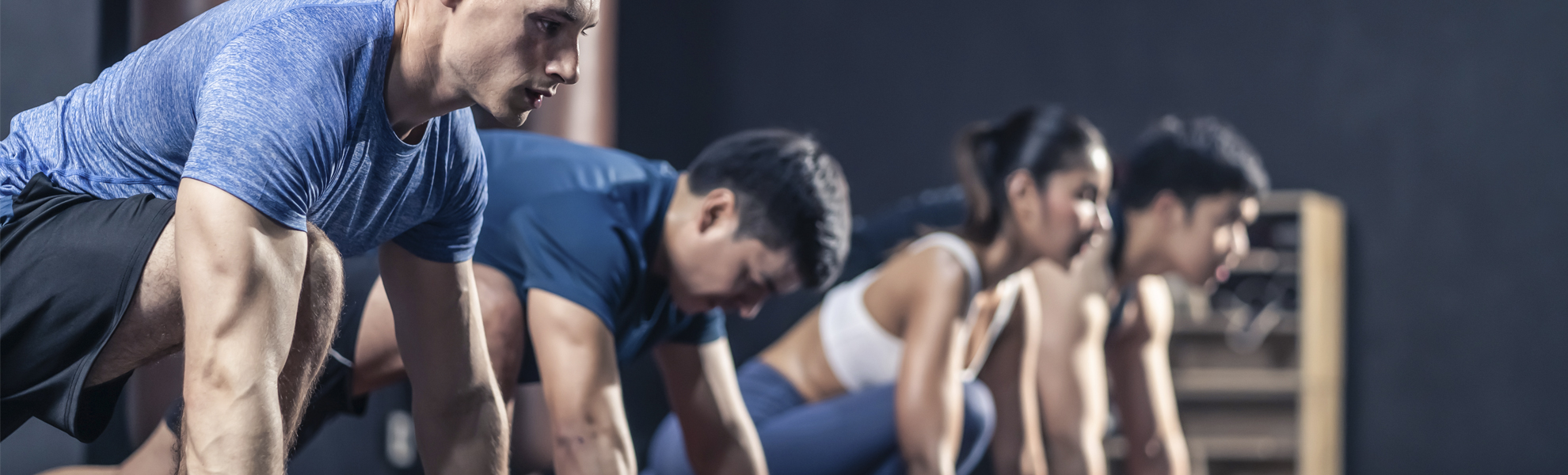 Federación Española de Entrenadores Personales y Fitness